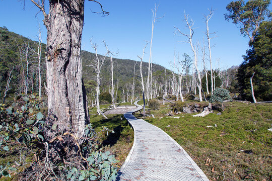 รูปภาพBushwalking – เลือกดูภาพถ่ายสต็อก เวกเตอร์ และวิดีโอ2,846 | Adobe ...