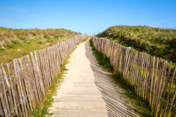 Trail to beautiful sandy beache near Le Conquet town, Bretagne, France - 354182630