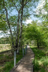 Naturschutz-und FFH-Gebiet Fürstenkuhle, Gescher