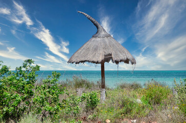 Classic natural umbrella on a wild Isla Holbox beach. In the background the Caribbean ocean and the blue sky.