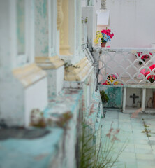 Cozumel , Caribbean / Mexico - May 2017
Cemeteries in Mexico are colorful as expressions of the culture, Mexican families come to visit the souls of the departed.