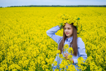 Fototapeta premium One caucasian beautiful girl in blue shirt, with long brown hair and wreath of rapeseed flower on the head. Yellow background. Rural landscape.
