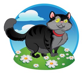 Black fat cat on the color background