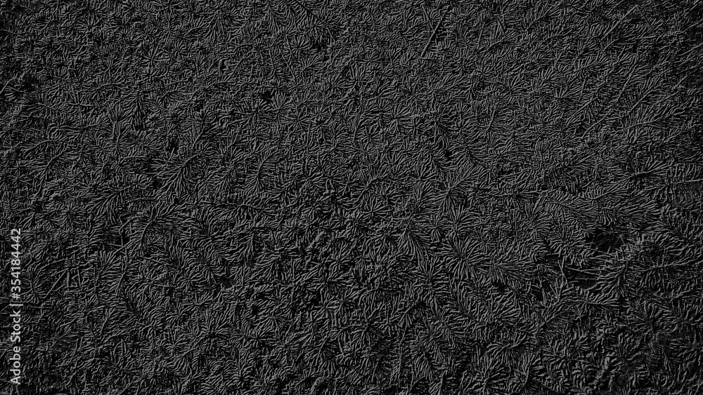 Aufkleber abstract image on a black background with gray lines on a vegetable theme