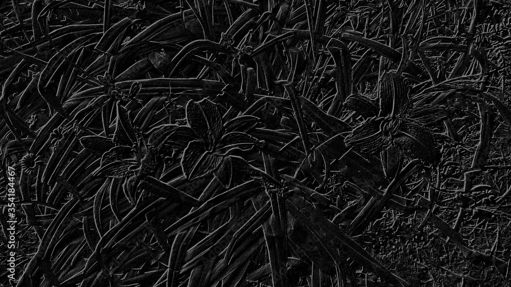 Poster abstract image on a black background with gray lines on a vegetable theme.