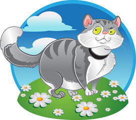 Grey fat cat on the color background