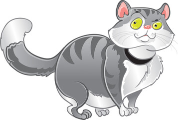 Fototapeta na wymiar Grey fat cat