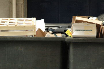 Pie se nourrissant dans les poubelles.