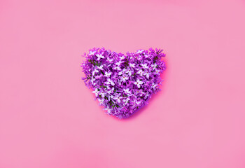 heart of fresh lilac juicy purple color on a pink background. selective focus