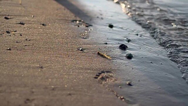 Jesus walking towards the horizon, in the sea, detail shot