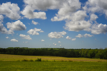 Obraz premium A countryside landscape