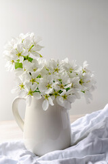 fruit tree pear flowers in a white jar on white table