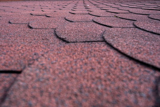 Red Shingle Roof Background And Texture.