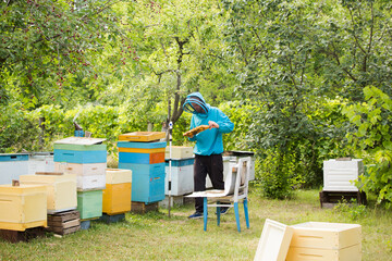 beekeeper returns frame to hive. uniting bee family and puts frame with queen cells in apiary. Beekeeping.