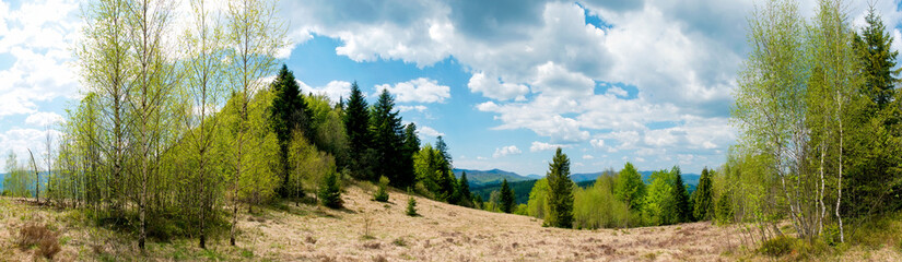 Obraz premium Beautiful rural summer landscape with forest, blue sky and white clouds, panorama. spring landscape with panoramic views of meadow and mountains