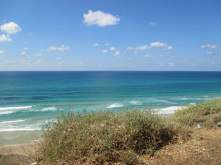 Fototapeta na wymiar Sunny beach and bushes along the Mediterranean Sea, Israel