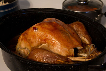 roasted turkey in a pan