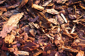 wood shavings background