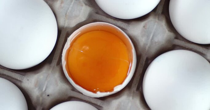 One raw egg without the shell in the cassette rotates slowly.