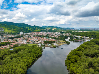Aerial drone view of heavy density mangrove trees in the gulf of Guayaquil, Ecuador flying and...