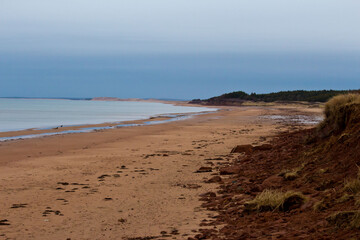 beach in the morning