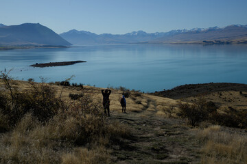 Lake Tekapo shore landscape scene