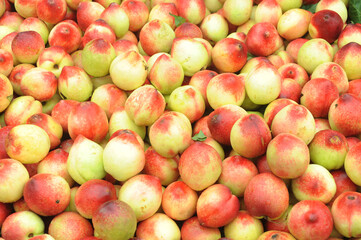 fresh peach in pile as food background