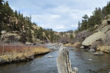 River in National Forest in Colorado