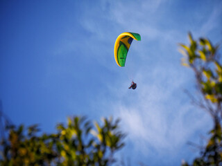 Paraglider
