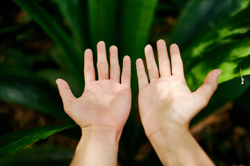 palms and hands isolated on background with green leaves