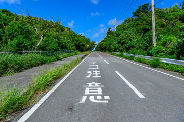 西表島の道路