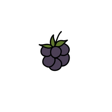 blackberry doodle icon, vector illustration