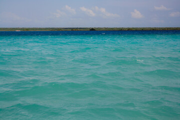 Fototapeta na wymiar The Bacalar lake is renowned for its striking blue color shades and water clarity