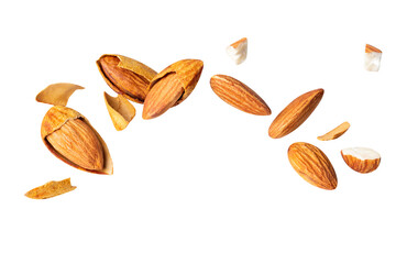 almond fly Crack blast  Closeup isolated on the white background Full depth of field.