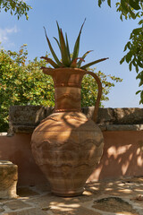 Ancient Greek Vessel surrounded by greenery and succulent on th top