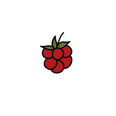 raspberry doodle icon, vector illustration