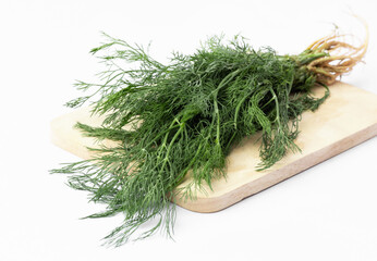 Bunch of fresh green dill on white background