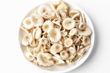fresh whole mushrooms in a dish on white background