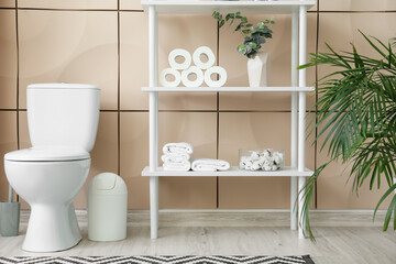 Toilet bowl and rolls of paper in restroom