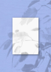 The vertical sheet of white textured A4 paper on the blue wall background. Mockup overlay with the...