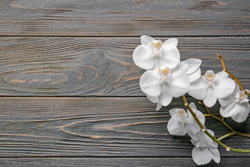 Beautiful orchid flowers on wooden background. Zen concept