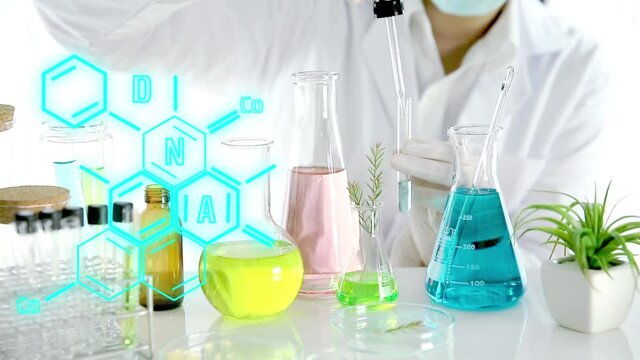 Beauty background, scientist is sampling a chemical extract from organic natural, research and develop background, Scientific concept is sample project about herbal medicine for health & beauty care.