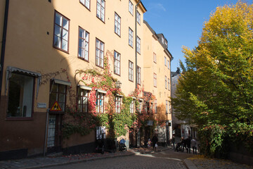 Autumn comes to the city, Stockholm, Sweden.