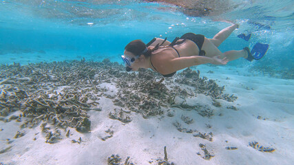 UNDERWATER: Female snorkeler dives along the destroyed coral reef in Maldives.