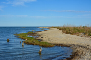 Wide open beach along the Chesapeake Bay at Hughlett Point Natural Area at the tip of the Northern Neck in Virginia. 