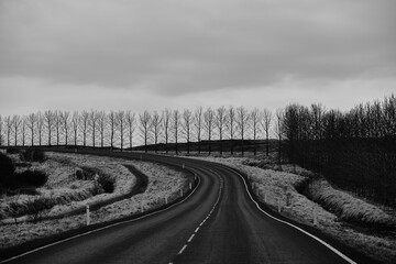 Trees border The ring road in Iceland