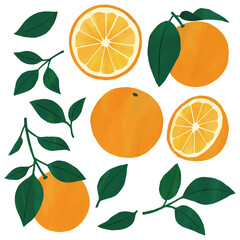 オレンジ　葉　果実　素材　セット