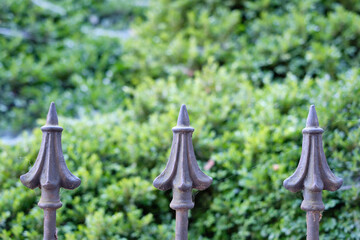 The heads on an old but restored colonial era iron fence