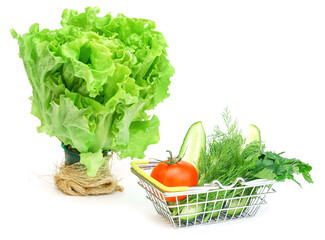 a small shopping basket with herbs, cucumber, tomato, parsley next to a fresh potted green salad on a white background. Healthy food, vegetarian food, vegetables, shopping at the supermarket.
