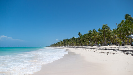 tropical beach with palm trees and sea